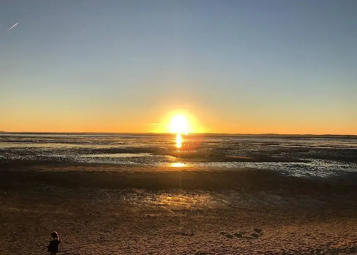 Entre Bois Et Mer, Chez Mathilde Et Jeremy Andernos-les-Bains